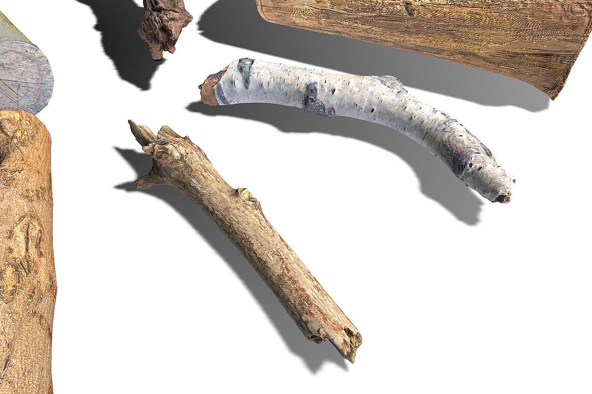 13 Tree Logs, an Environmental 3D Model by Beatheart Creative Studio (Photo 26 of 37)