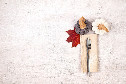 Autumn dinner concept, free space for text, a Food & Drink Photo by vimart