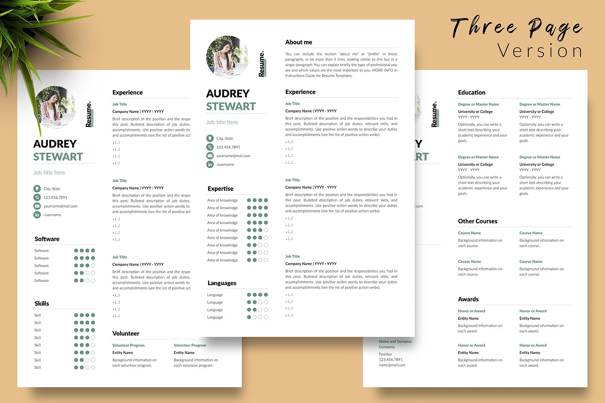 Modern CV Bundle / Resume - Audrey, a Resume Template by Templates Design Co. (Photo 4 of 17)