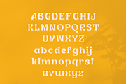 Electric Eden - Nostalgic Font, a Serif Font by HipFonts (Thumbnail 3 of 10)