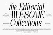 The Simple Editorial | 15 Style Font, a Serif Font by IM Studio (Thumbnail 3 of 12)