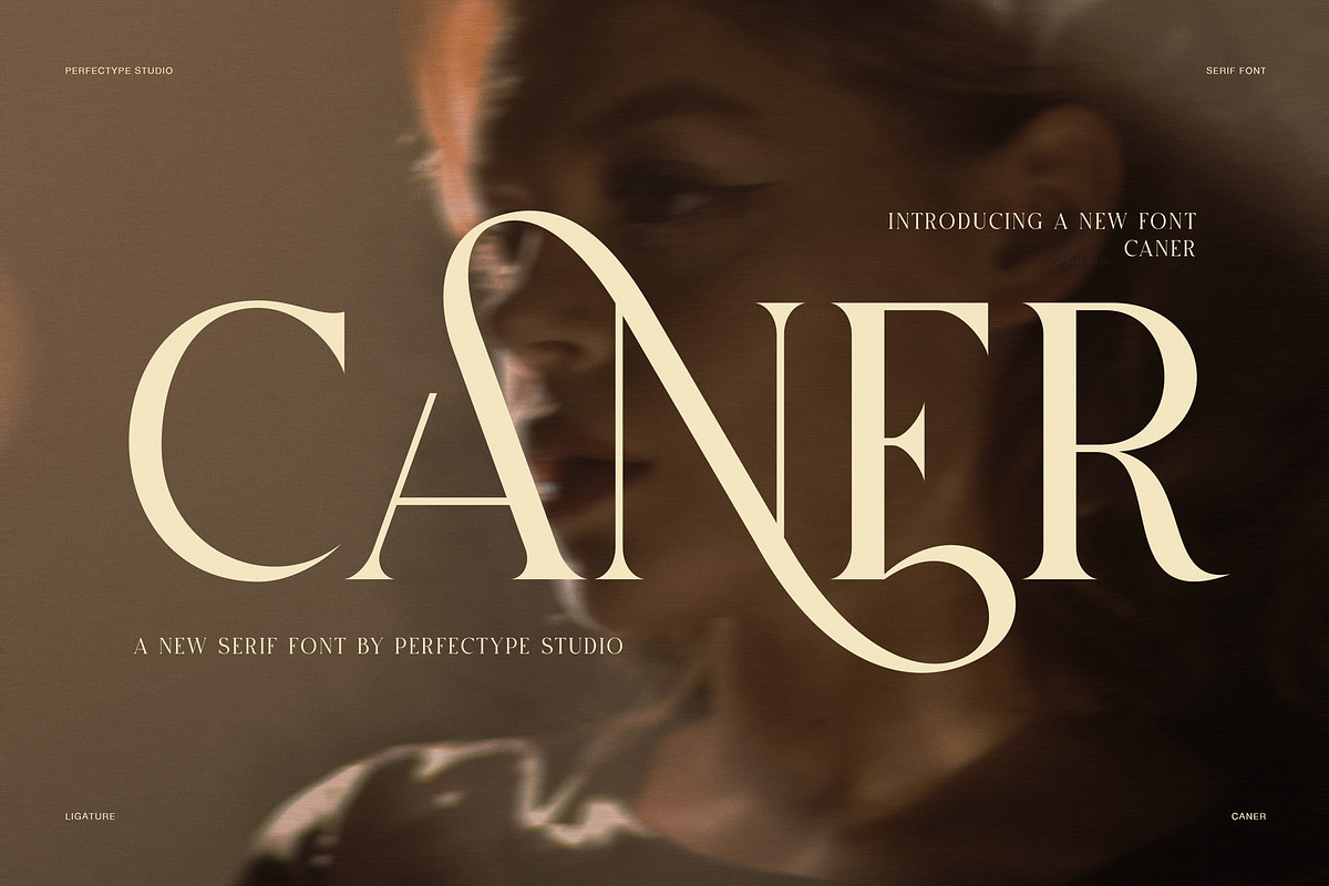 Caner Elegant Ligature Serif Font, a Serif Font by Perfectype (Photo 1 of 8)