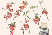 Watercolor collection of quince, a Decorative Illustration by My art shop (Thumbnail 2 of 2)