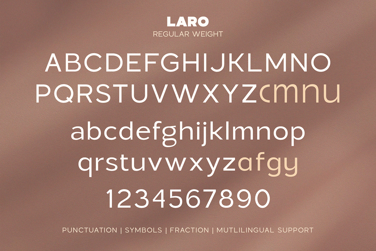 Laro Font Family, a Sans Serif Font by Larin Type Co. (Photo 12 of 12)