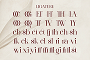 Lemedril - Elegant Modern Stylish, a Serif Font by Qweera Studio (Thumbnail 11 of 12)