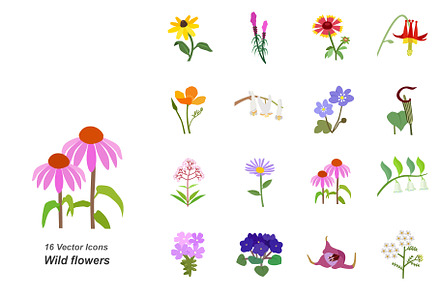 Wild flowers color vector icons
