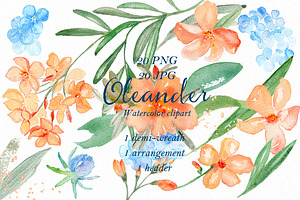 Oleander. Watercolor Clipart