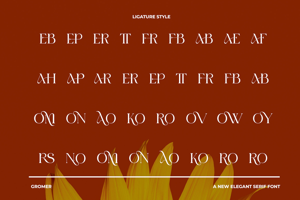 GROMER Elegant Ligature Serif, a Font by Alfinart (Photo 8 of 10)