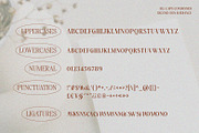 SS Calivoca - Chic All Caps Serif, a Serif Font by Typocracy Studio (Thumbnail 10 of 10)