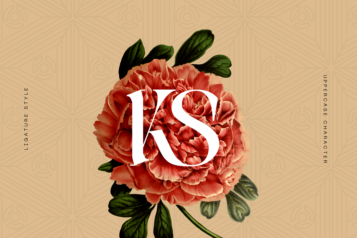 Luxury Logo Font - Faroks Modern, a Serif Font by Nirmana Visual (Photo 2 of 10)