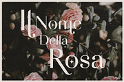 Adagio Decorative Ligature Font Duo, a Sans Serif Font by Studio Aurora (Thumbnail 4 of 12)