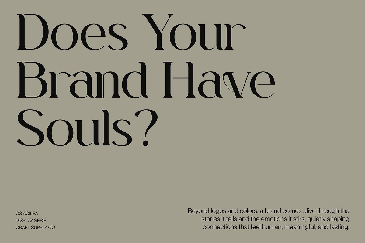 CS Acilea – Modern Serif Font, a Serif Font by Craft Supply Co. (Photo 3 of 8)