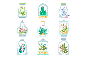 Flat Vector Set Of Glass Vessel