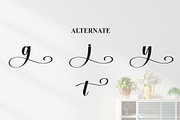 Staylish | Script Font, a Handwritten Font by Scratchones (Thumbnail 8 of 9)