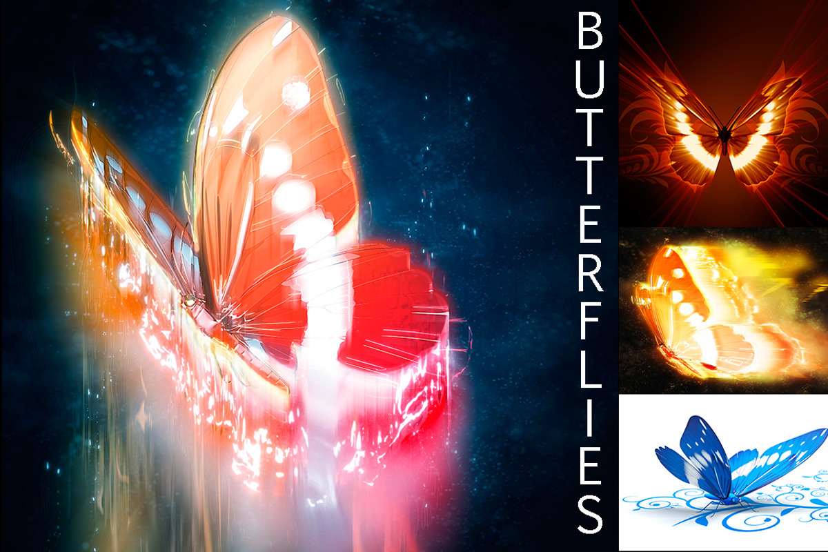 Butterfly