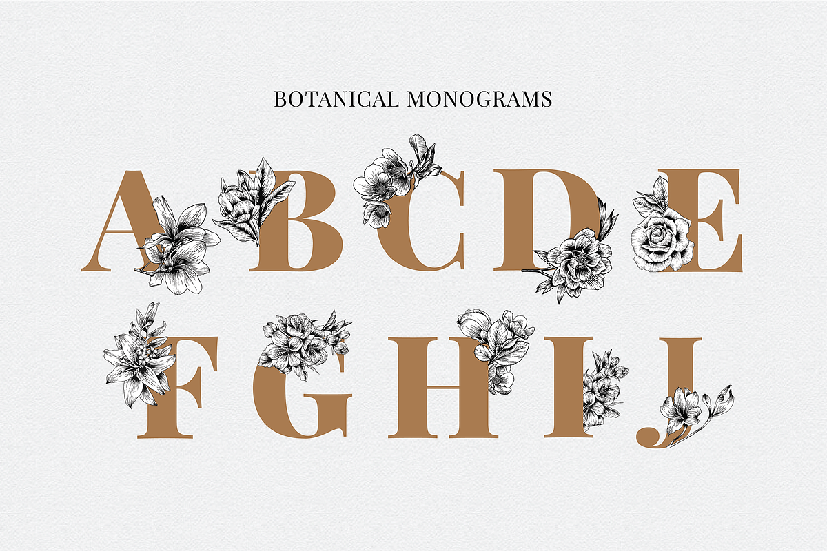 Botanical Illustration Bundle, an Illustration by Rough Edges Supply Co. (Photo 12 of 17)