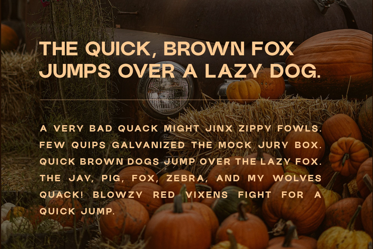 Carvello - Modern & Seasonal Sans, a Sans Serif Font by Webhance Studio (Photo 5 of 12)