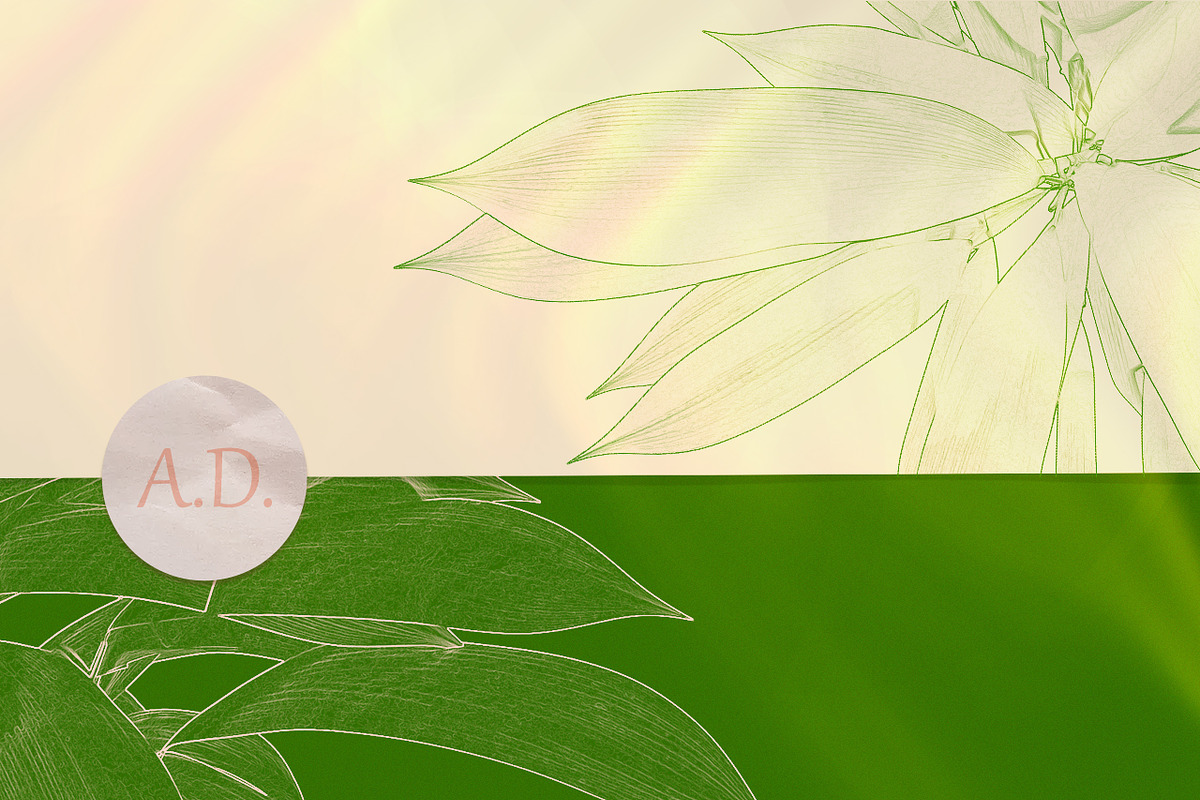 Nature Graphics Collection #03, an Object Graphic by ARKS ACADEMY (Photo 8 of 13)