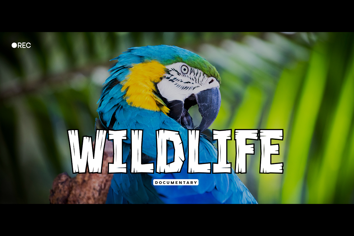 Realwood - Display Font, a Sans Serif Font by Sronstudio (Photo 3 of 18)