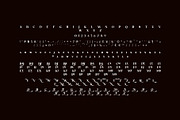 KAMIN UNIQUE LIGATURE SERIF TYPEFAC, a Serif Font by yaqublekker (Thumbnail 8 of 8)