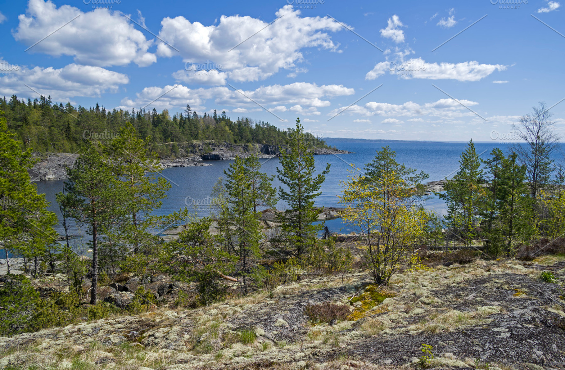 Ladoga skerries, Karelia, Russia, a Nature Photo by possum