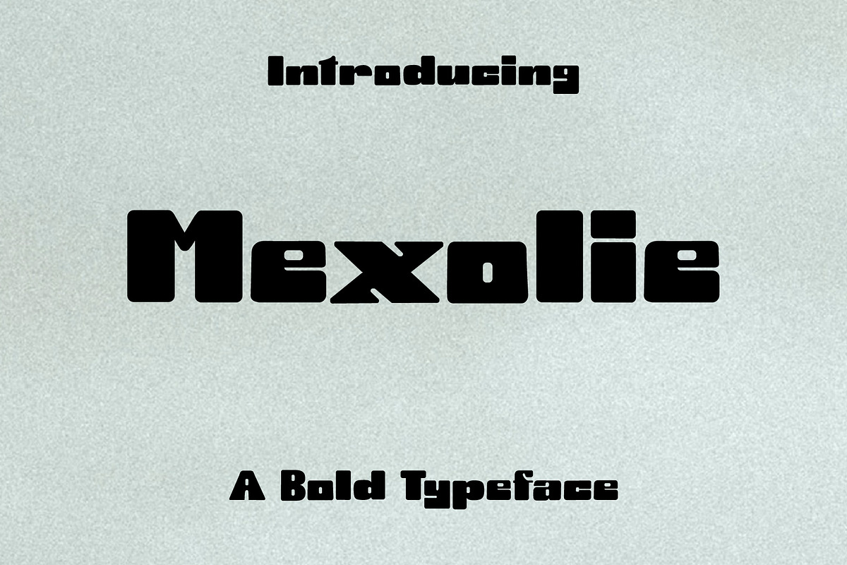 Mixolie, a Sans Serif Font by WisnoetypeCo (Photo 1 of 5)