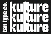 TAN - KULTURE, a Font by TanType (Thumbnail 18 of 18)