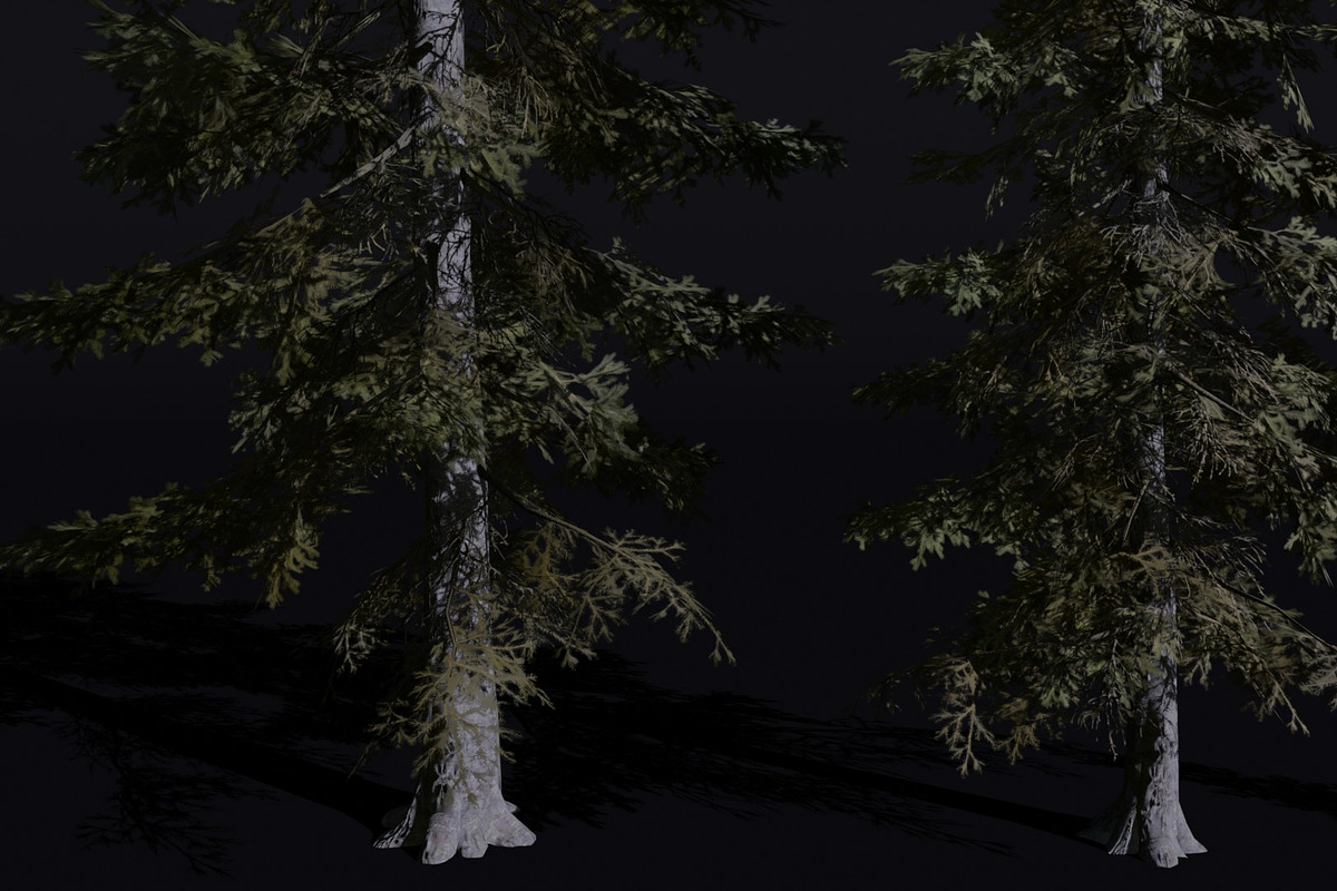 The Sabalpine Fir Tree, a Plants & Tree 3D Model by FuturePastCreatives (Photo 3 of 6)