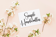 Vintage | Script Font, a Handwritten Font by Scratchones (Thumbnail 5 of 9)