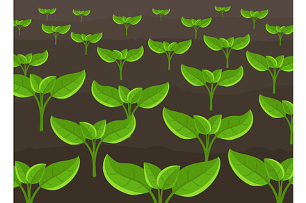 Growing young plant shoots, a Texture Graphic by Ilia Design