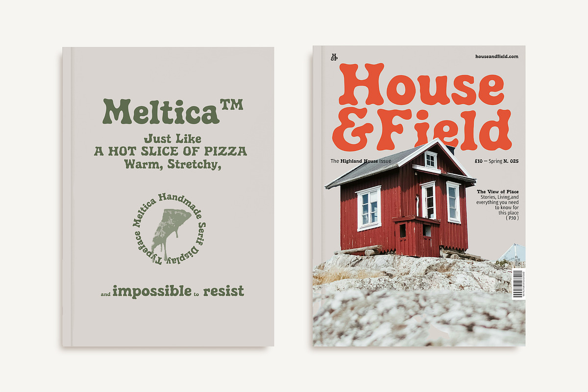 Meltica - Handmade Organic Serif, a Serif Font by Panatype™ Studio (Photo 3 of 10)