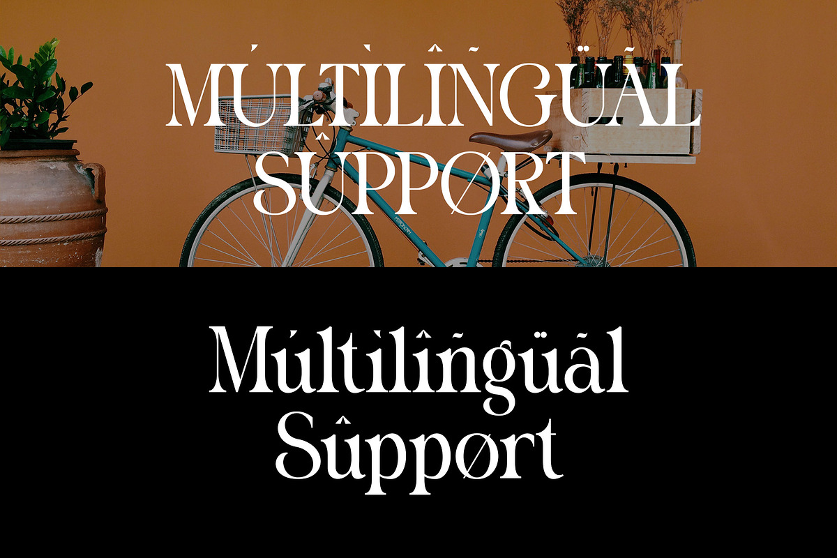 Michale Modern Serif Typeface, a Serif Font by Alfinart (Photo 9 of 10)