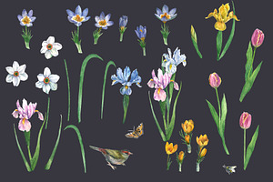 Spring Flowers Clipart