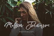 Wild Heart - Brush Font Set 40% OFF, a Script Font by Dirtyline Studio (Thumbnail 2 of 12)