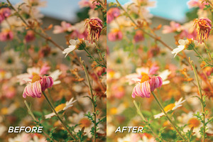 20 Spring LR Presets Video Filters