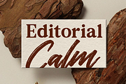 The Redlane Editorial Serif Font, a Serif Font by Rasio Studio (Thumbnail 3 of 10)
