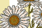 wild daisy botanical stripe, a Pattern Graphic by NayaChu (Thumbnail 9 of 10)