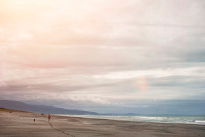 Beach containing dog, beach, and puppy