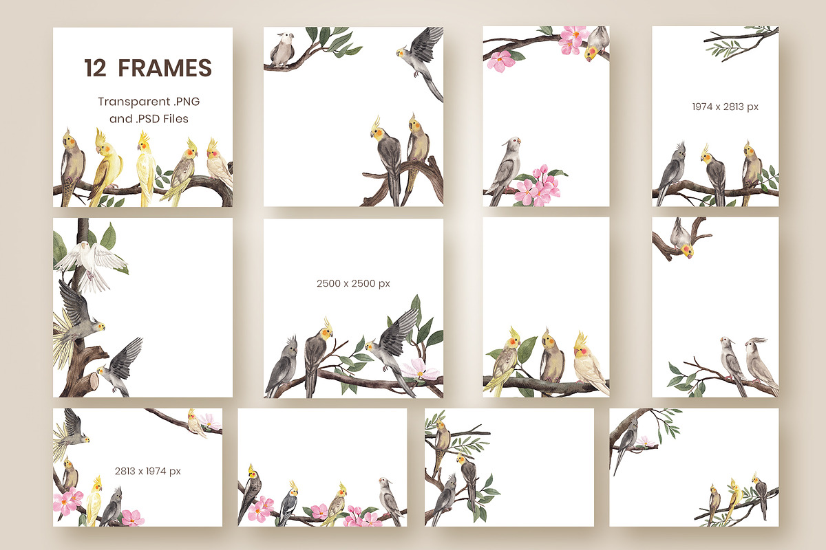 Cockatiel Birds Watercolor, an Animal Illustration by CreativeValuation (Photo 4 of 15)
