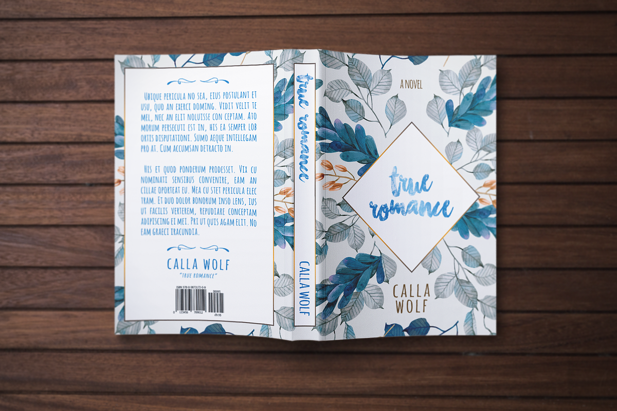 Book Cover Template 59, a Templates & Theme by Digital Goods (Photo 9 of 11)