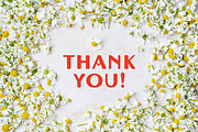 Chamomile Smile Pattern, a Pattern Graphic by Michiru13 (Thumbnail 22 of 22)