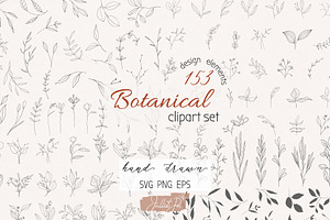 Organic shapes, botanical forms