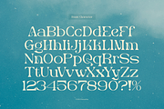 Merlo Rakasha | Display Serif Font, a Serif Font by Denustudios (Thumbnail 12 of 13)