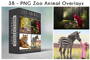 47 - PNG - ZOO ANIMALS, an Object Graphic by DareToDream (Thumbnail 1 of 3)