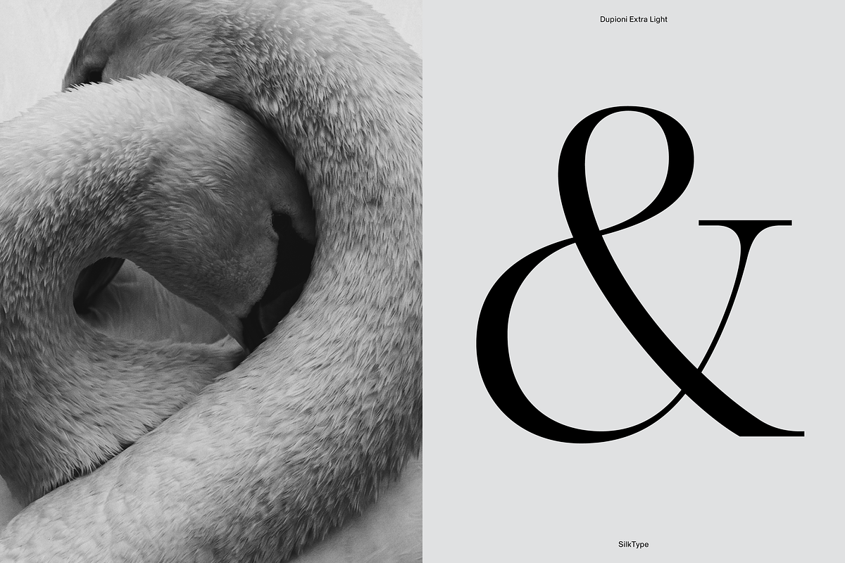 Dupioni - 6 font family, a Serif Font by Silktype (Photo 8 of 21)