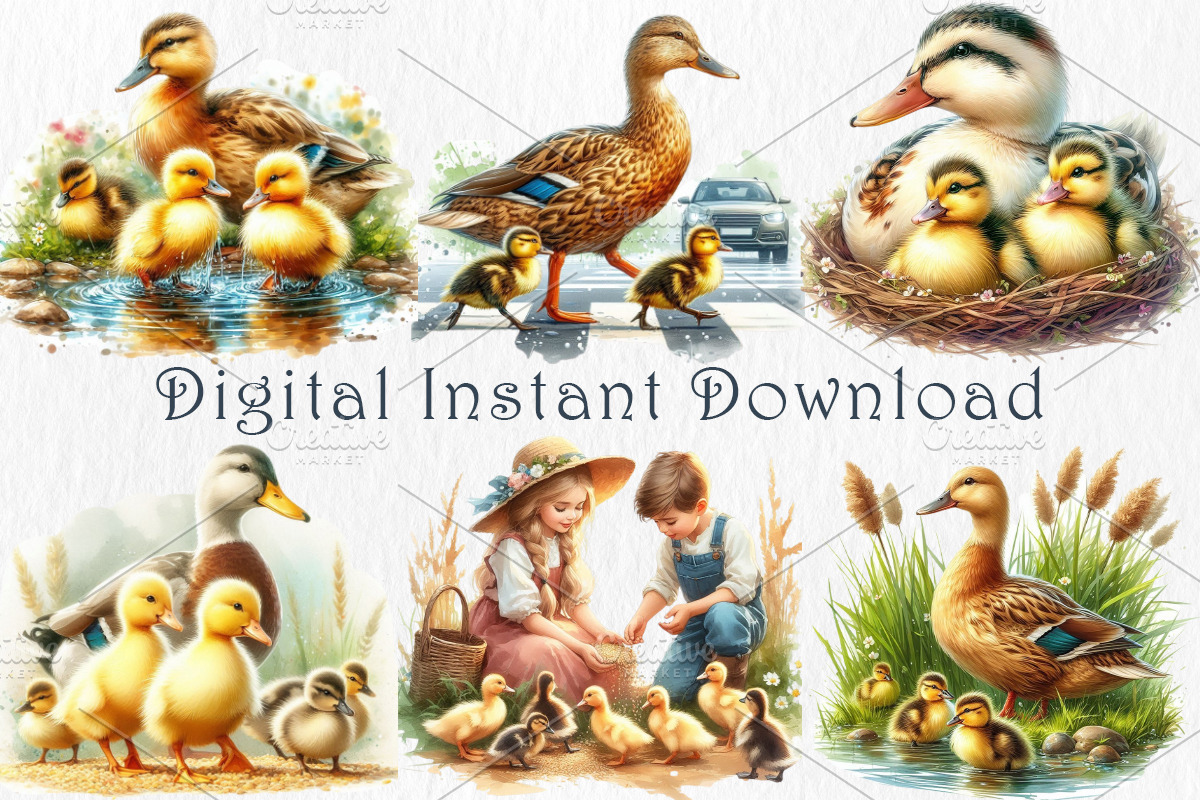 Duck Family Clipart – 20 PNG., an Animal Illustration by GalaDesign03 (Photo 3 of 6)