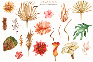 Savanna Dried Flowers Watercolor