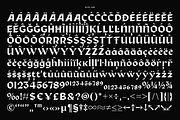 Bokner - Built for Impact, a Serif Font by Valentino Vergan (Thumbnail 13 of 14)