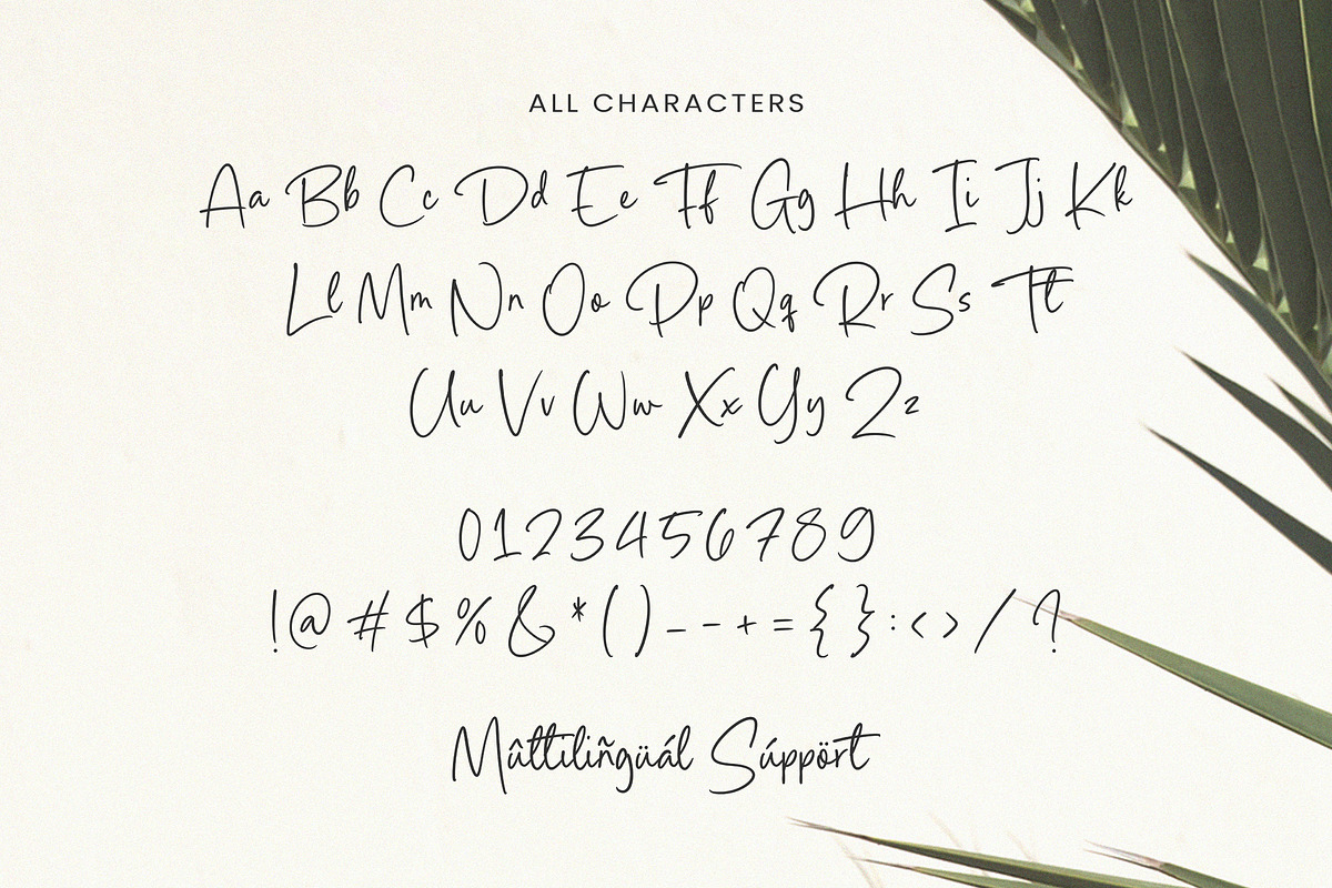 Palms Delight Font, a Script Font by Timurtype (Photo 6 of 7)
