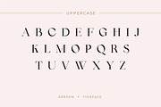 Arroem - Serif Display Font, a Serif Font by Vesvocrea (Thumbnail 12 of 15)